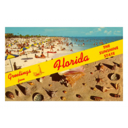 Best master of science in nursing (MSN) programs in Florida